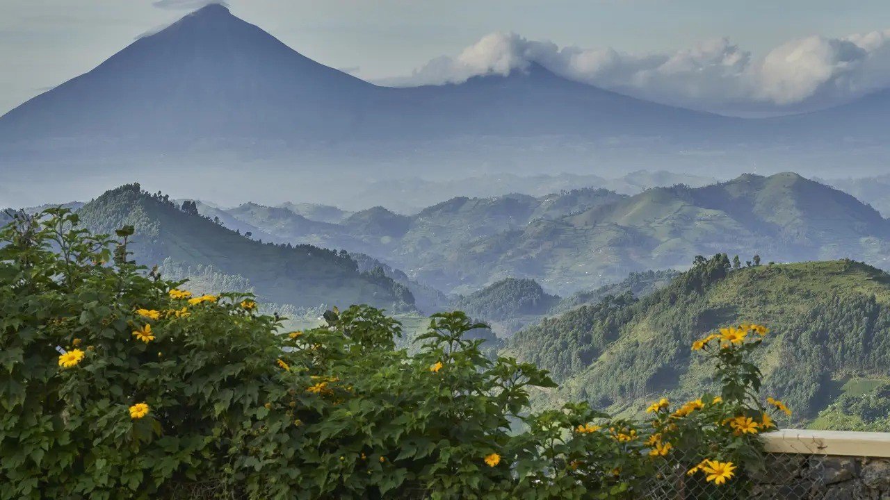 Rwenzori mountains
