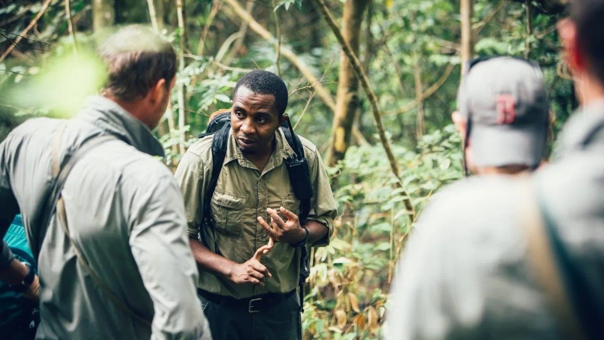 Chimpanzee Trekking | Orugano Safaris Uganda