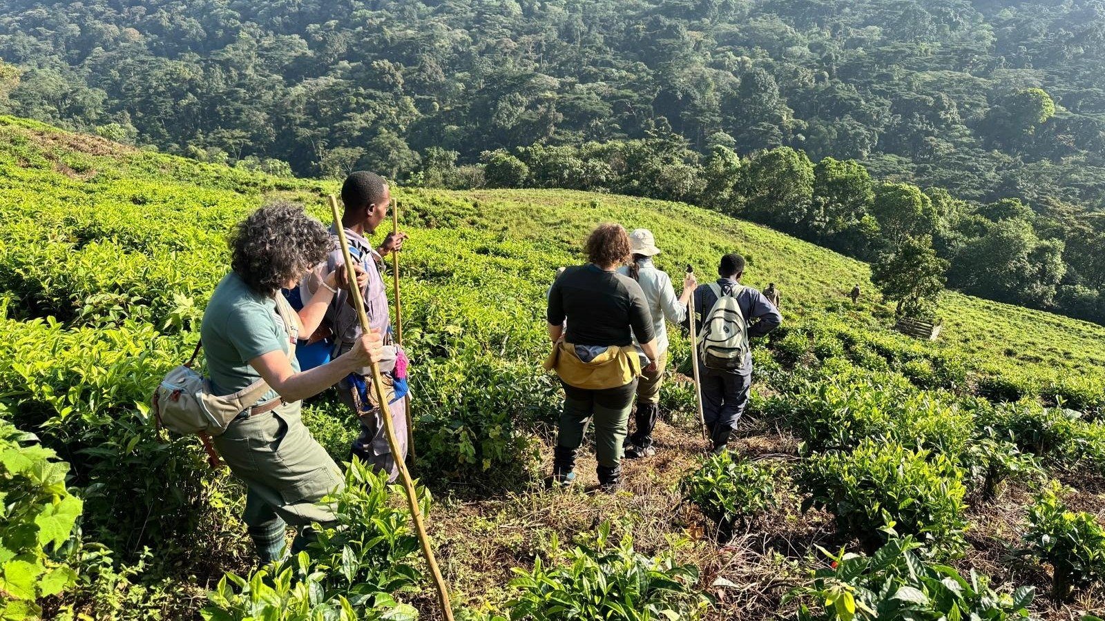 12-Day Ultimate Uganda Wildlife, Primate & Nature Safari | Orugano Safaris Uganda