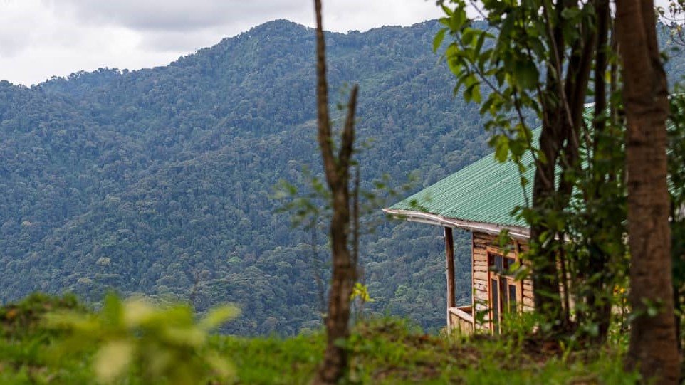 Eco-friendly luxury accommodation at Orugano Bwindi Lodge, Uganda.