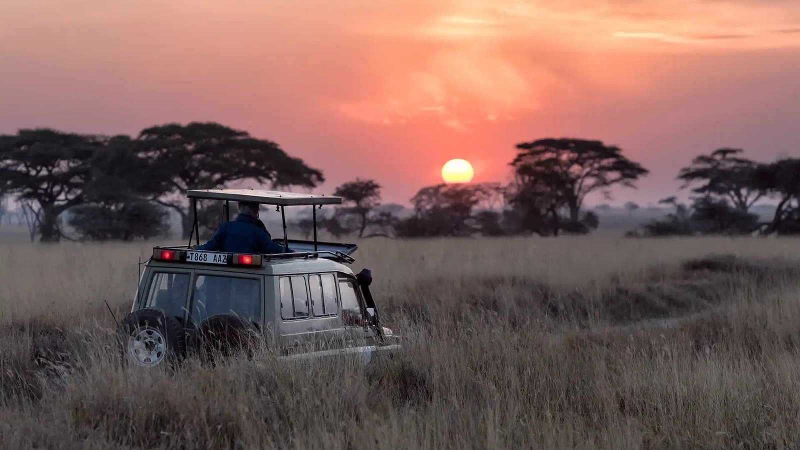 Serengeti To Bwindi | Orugano Safaris Uganda