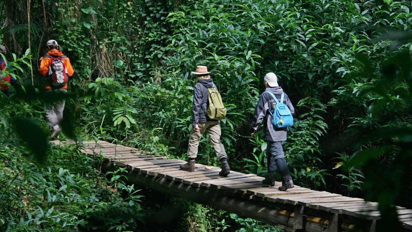 An Orugano Safaris local guide sharing insights into culture in Uganda and authentic Uganda traditions with a group of travelers.