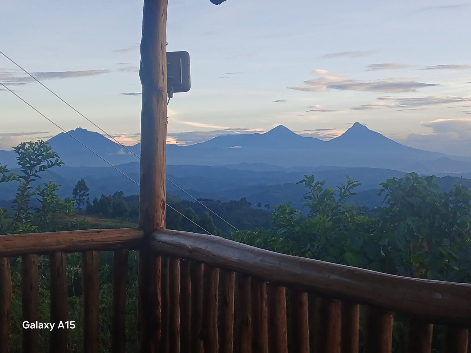 Safari experience in Uganda or Rwanda - Orugano Safaris