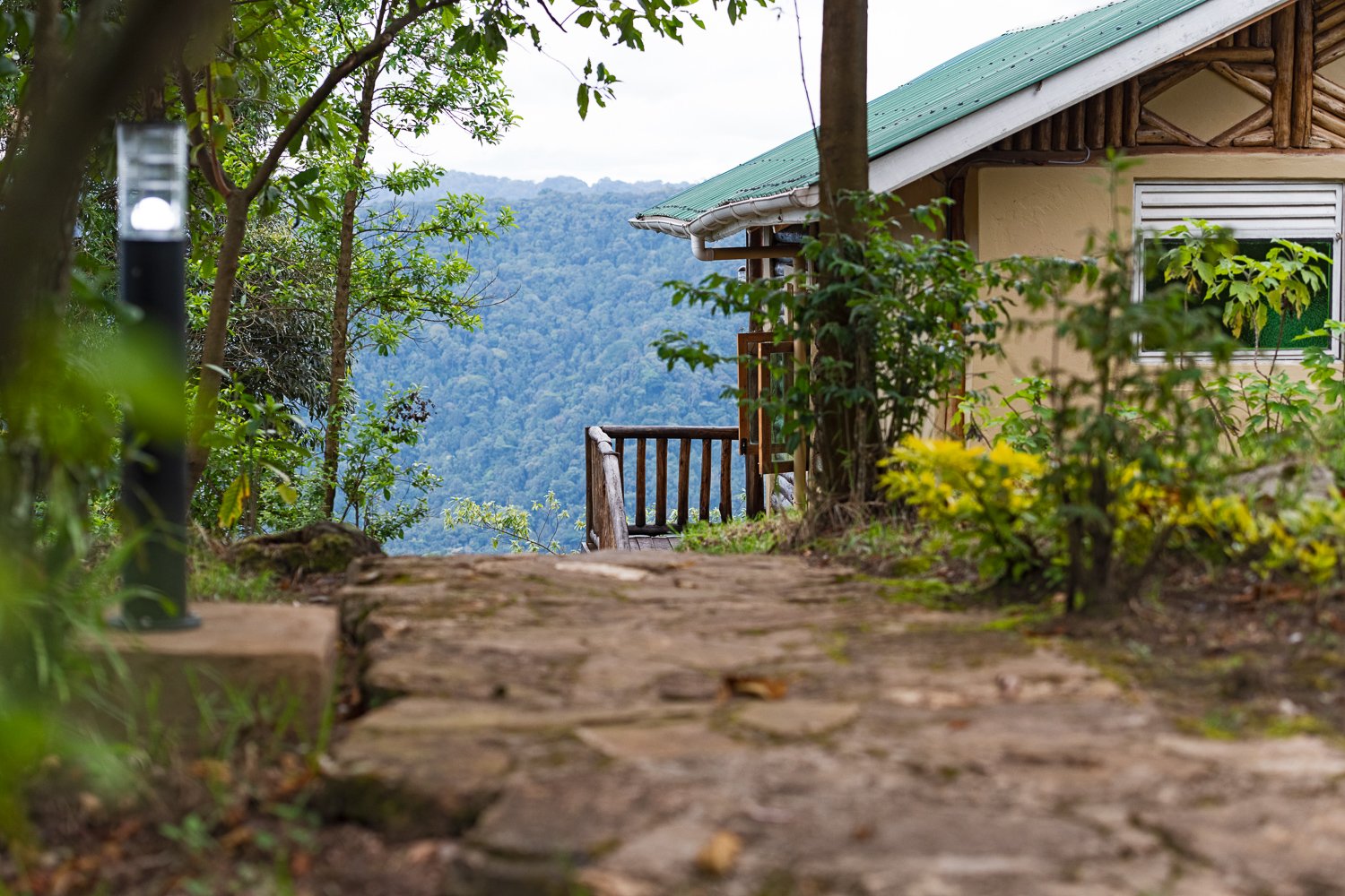 Views of Bwindi Impenetrable forest at Orugano Lodge
