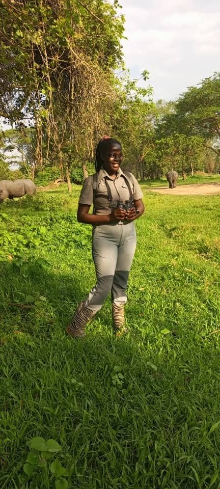A professional Orugano Safaris guide using high-end binoculars to spot rare Central African bird species in the dense canopy.
