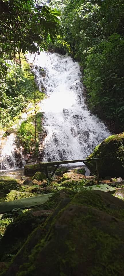 Lush waterfall scene near Bwindi, showing the wider natural beauty of the area beyond gorilla trekking alone.
