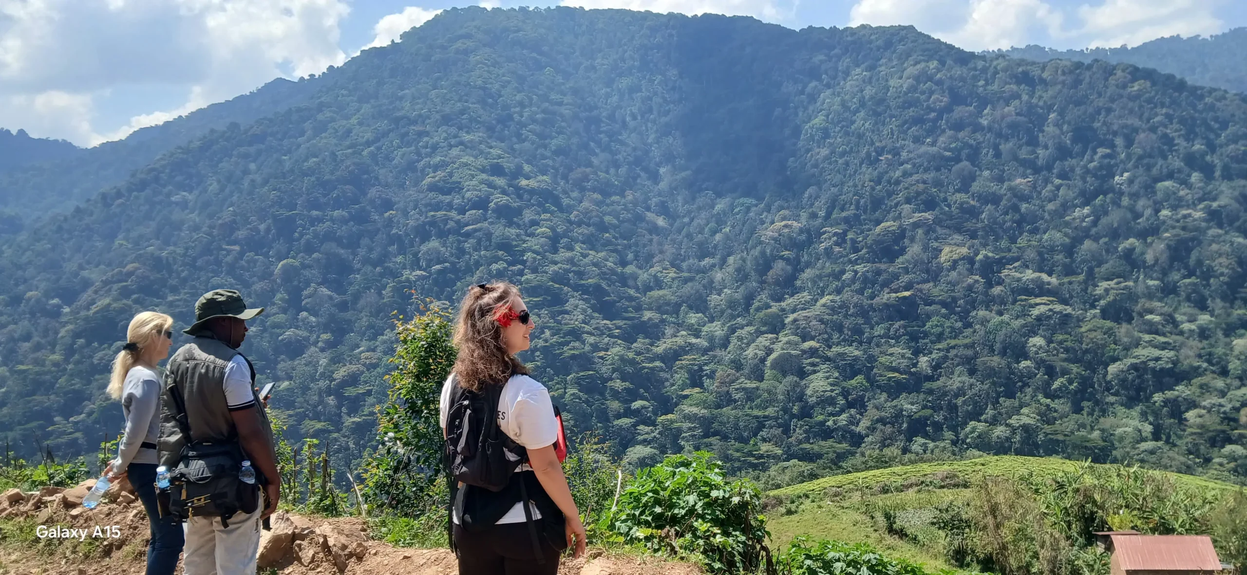 Tracking mountain gorillas Bwindi impenetrable national park