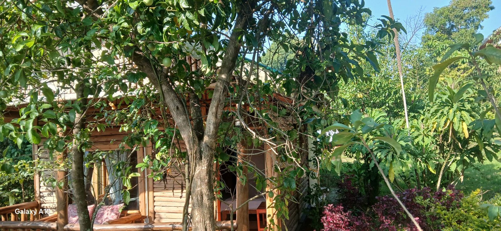Cottage at Orugano Bwindi Lodge